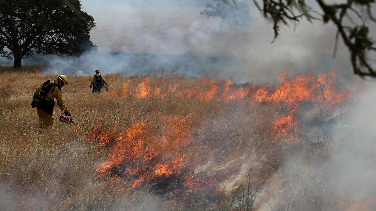 Foto de archivo. Bomberos utilizan antorchas para encender la hierba seca para un fuego controlado en California.