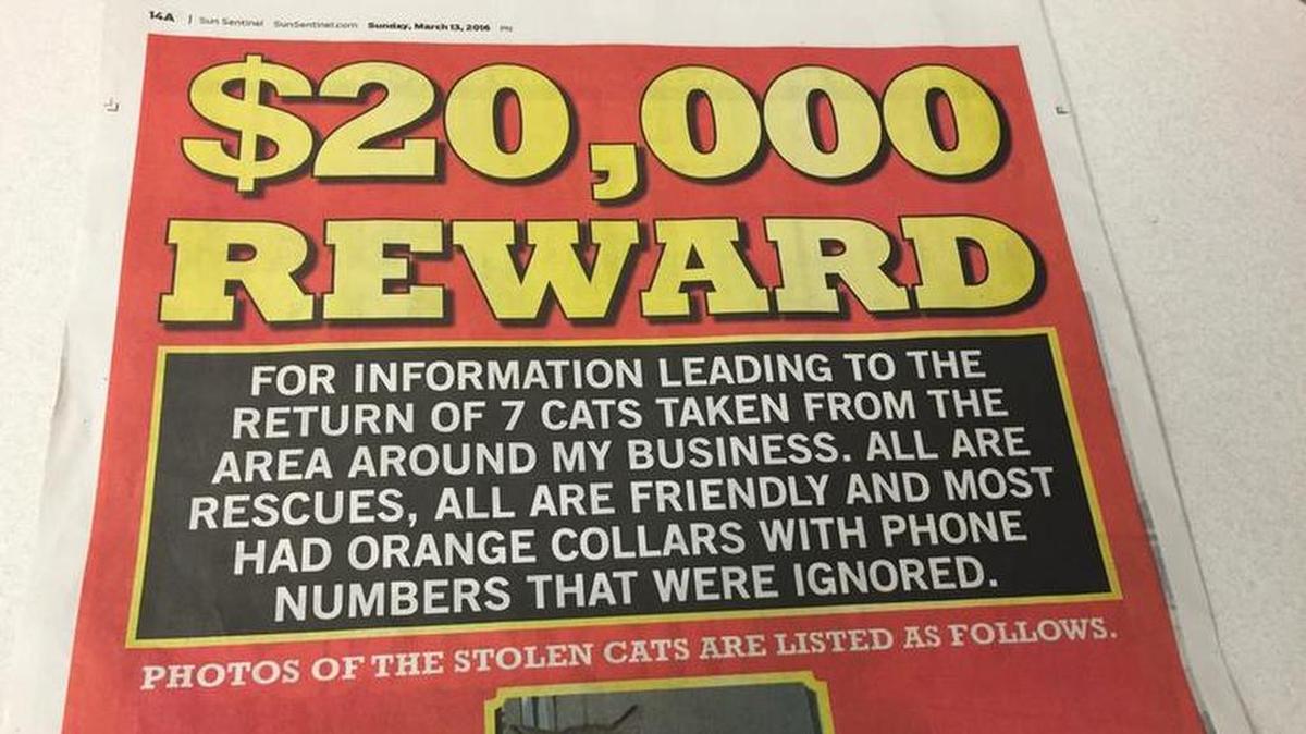 Desde que este domingo publicó el aviso en el diario local ha recibido muchas llamadas de gente deseándole que encuentre a sus gatos, pero por ahora “ninguna pista firme”.