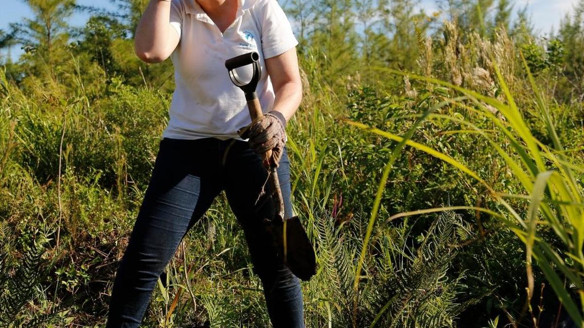 Carmen Taylor, 25, fundadora de Punto Miami, señaló que el fruto de la siembra se verá en los próximos tres años, cuando los árboles alcancen una altura promedio de más de 8 pies.