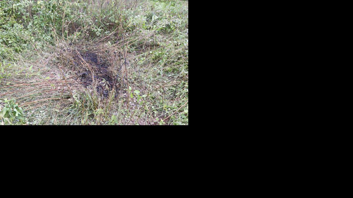 
El lugar donde fue encontrado el cuerpo calcinado de una mujer en Doral, en el 6000 NW 82 avenida.
