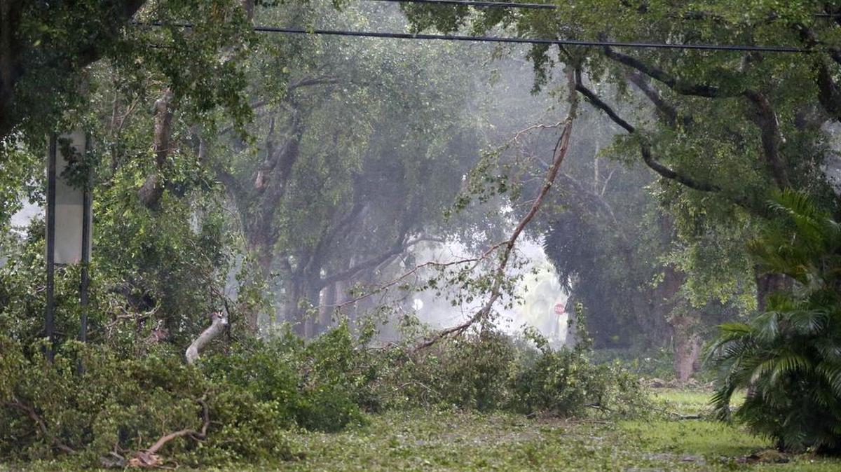 Ramas de árboles derribadas por los vientos del huracán Irma en una calle de Coral Gables, en Florida, el domingo 10 de septiembre del 2017.