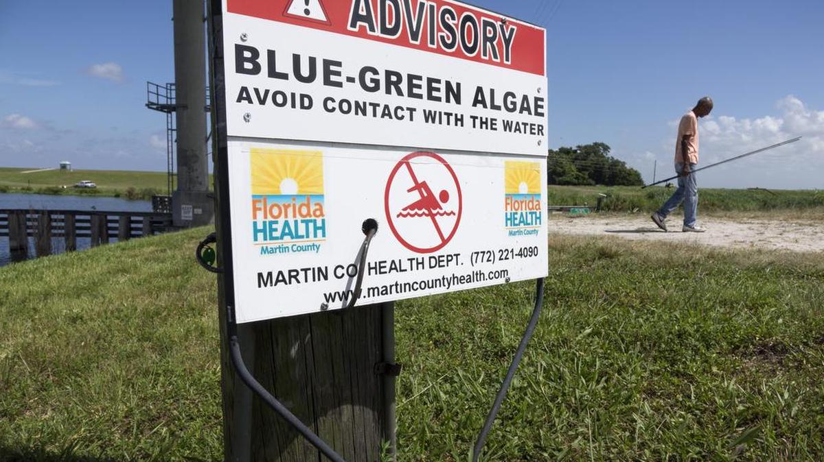 Vista un aviso para pescadores debido a a la contaminación por Algas Azules-Verdes del lago Okeechobee, en la Marina Central en Stuart, Florida el 7 de julio de 2016.
