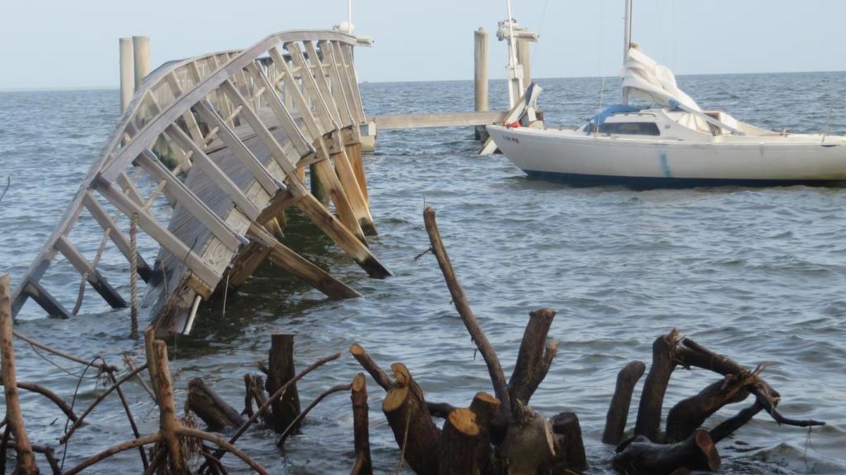 Las leyes estatales prohíben recortar manglares sin un permiso que limita estrictamente qué se puede hacer para asegurar que sobrevivan. Esta imagen fue tomada después que el huracán Irma daño un embarcadero y paseo de madera que serpenteaba entre los mangles.