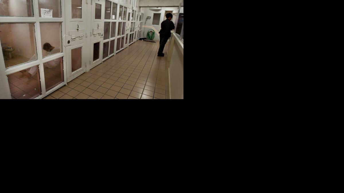 
Un recluso sentado en el piso de su celda en la vieja sección dedicada a pacientes con problemas sicóticos agudos en la cárcel de Miami-Dade.
