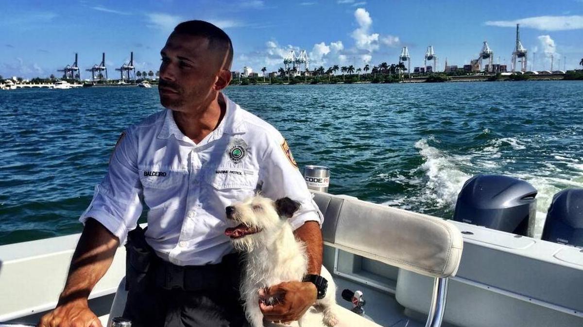 El policía de Miami Beach, Juan Balceiro, conduce a través de la bahía de Biscayne junto a Oliver, un terrier de Jack Russell, el 8 de julio de 2017.