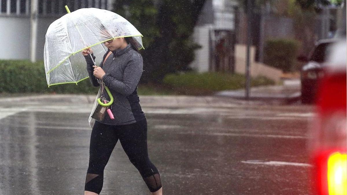 Usted necesitará un paraguas este domingo y durante parte del lunes en el sur de la Florida, pero el sol saldrá con fuerza el miércoles. 