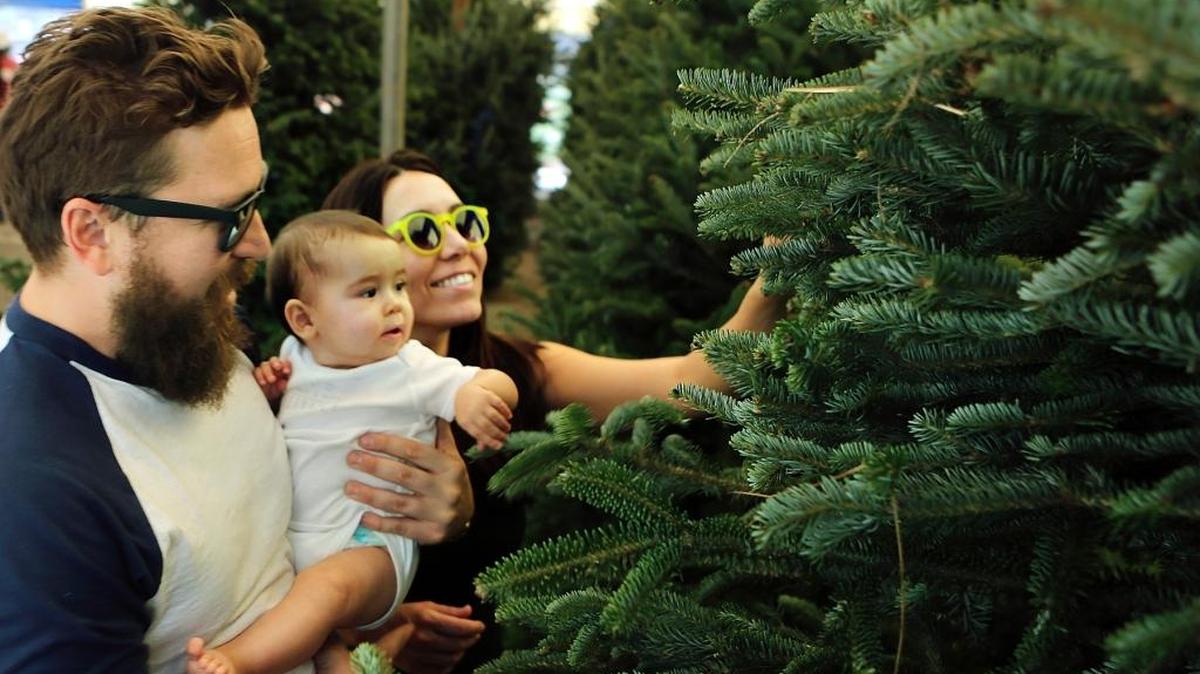 Dustin Copeland y Alexandra Huerta, de Coral Gables, le muestran a su pequeña hija, de ocho meses, el pino Fraser fir que compraron para su primera Navidad el viernes en el Boys & Girls Clubs of Miami-Dade en el 2805 SW 32nd Ave.