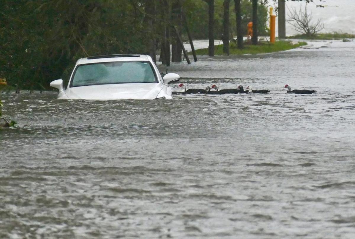 El huracán Irma inundó muchas calles costeras, incluida esta en Edgewater, que luego desembocaba en el sistema de aguas pluviales de la ciudad o en la Bahía de Biscayne.