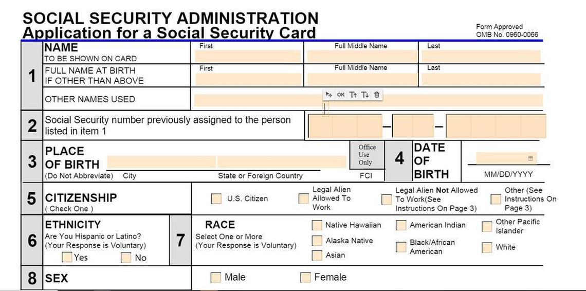 Formulario de registro al Seguro Social