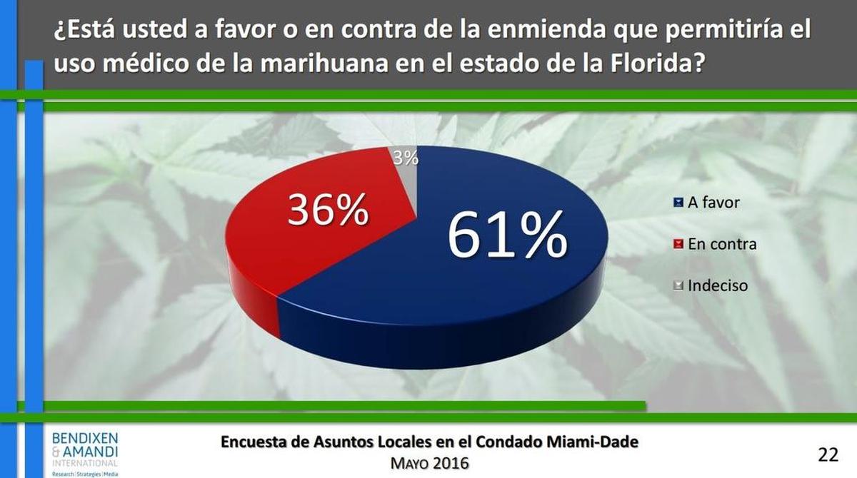 Los votantes favorecen permitir que los médicos receten marihuana para propósitos medicinales, por un margen de 61 a 36 por ciento, y sólo 3 por ciento se mostró indeciso, indicó la encuesta de Bendixen & Amandi International.