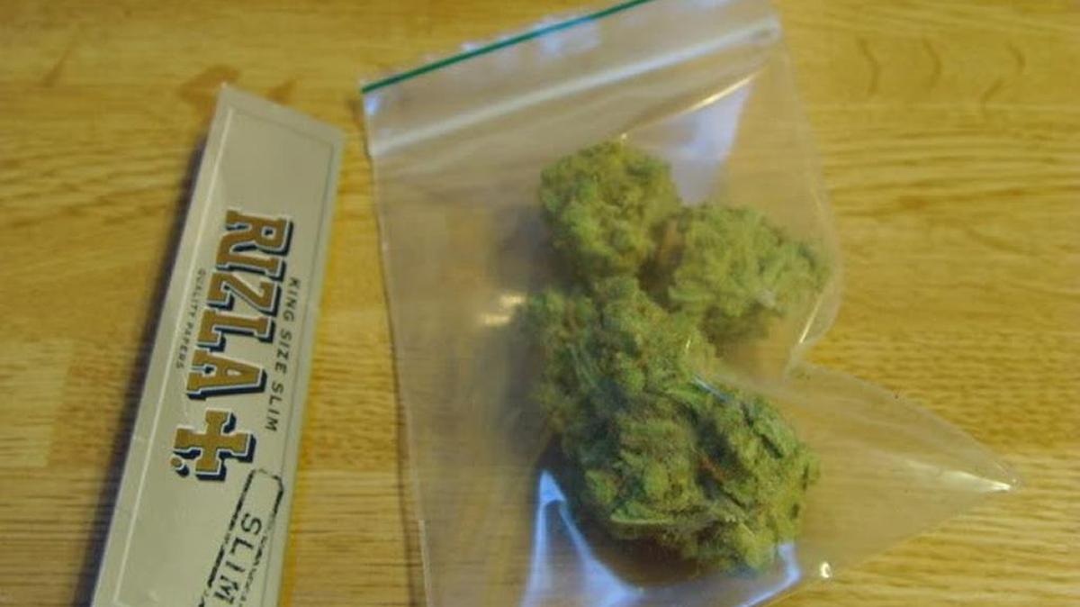 La policía de Cayo Hueso ha impuesto nueve multas por lo civil por posesión de marihuana en lo que va del 2016.