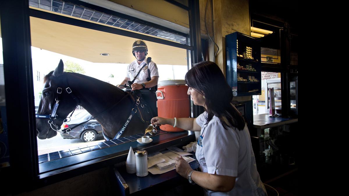 
El oficial Eduardo Pérez y su compañero, el caballo Panchito de la Policía Mondada de Miami se detienen a tomar un cafecito preparado por Betty Vargas en El Pub de La Pequeña Habana.



