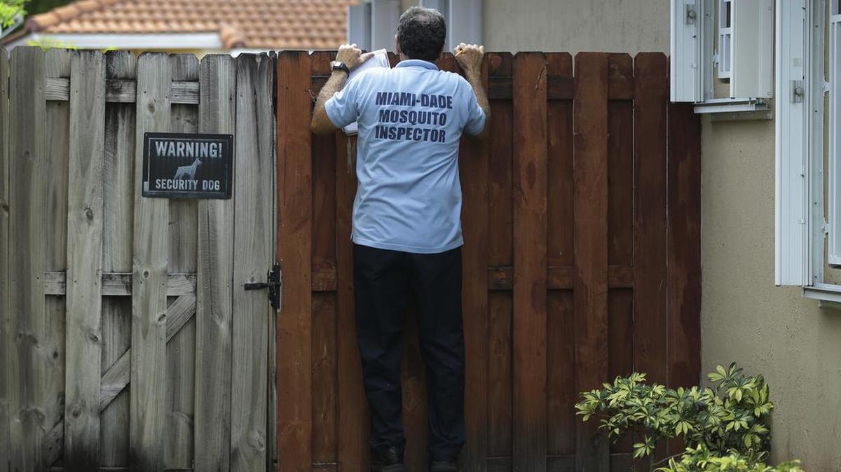 Un inspector de Miami-Dade busca criaderos de mosquitos detrás de una cerca en una casa.
