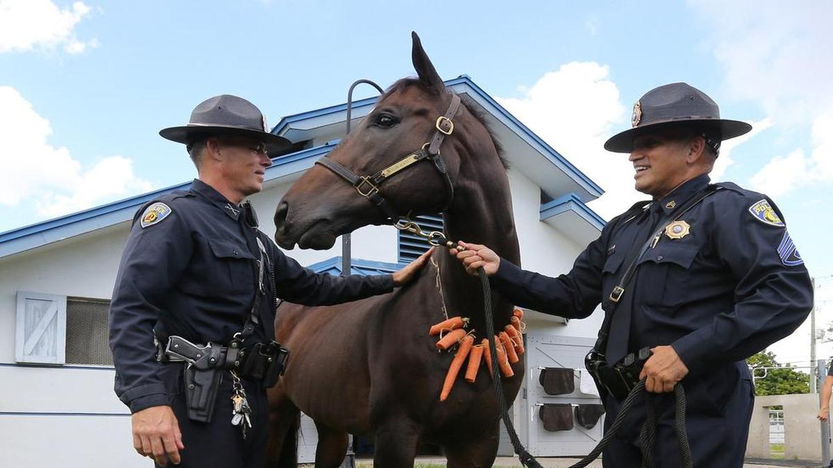 
El oficial Eric Sweet y Sargento Hugo Fontalvo junto al caballo Zechariah.
