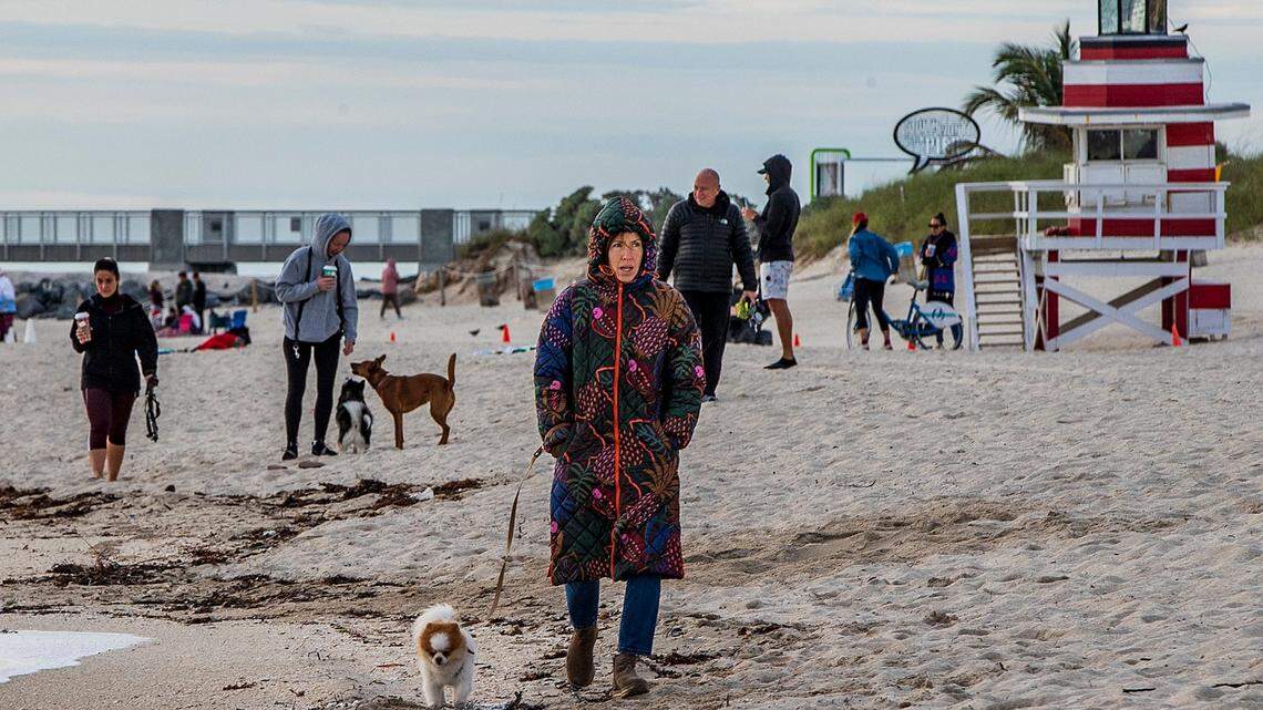 How cold will Florida get as the temperatures plunge this week? What the forecast says