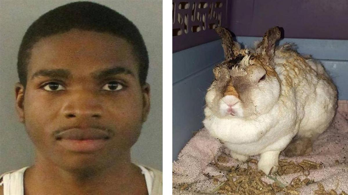 Manasseh Walker y el conejito Thumper.