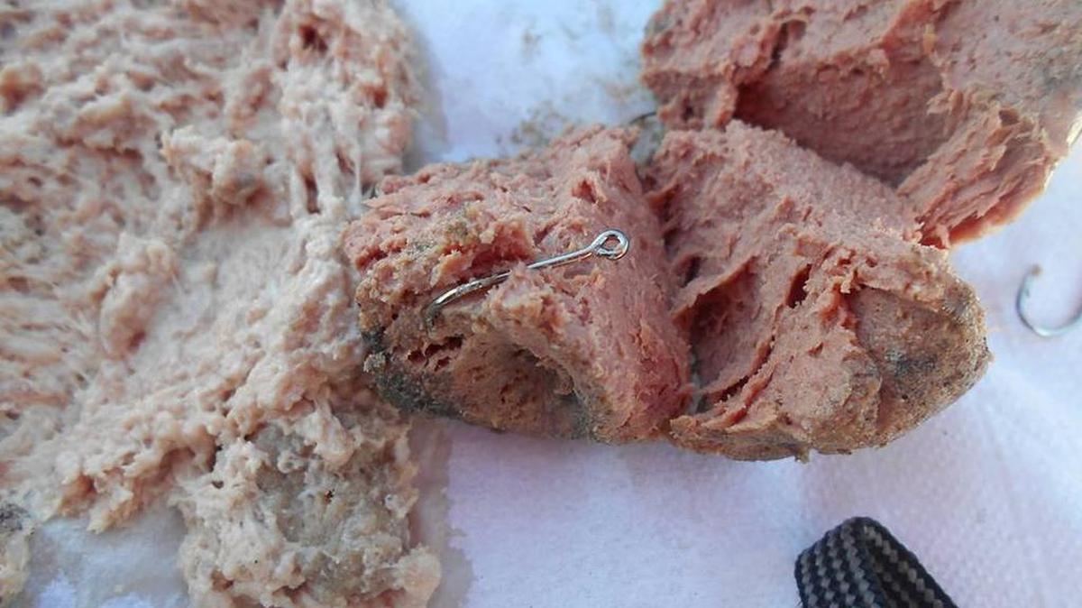 La carne parecía tener consistencia y olor a embutido de hígado y ser abierta contenía varios anzuelos pequeños de pescar.