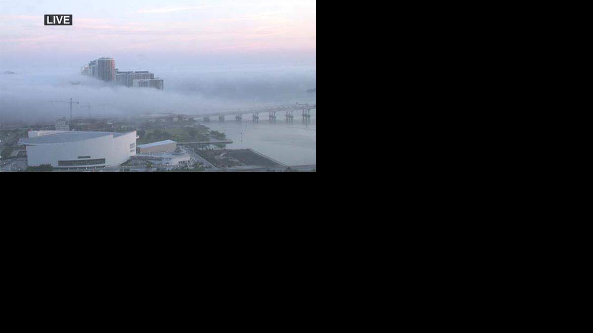 
Una dense neblina cubre parte de downtown Miami el miércoles en la mañana. 
