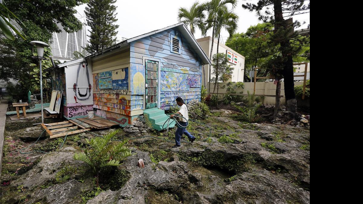 
El terreno de 5,000 pies cuadrados, ubicado en la calle 11 del suroeste, está valorado en más de $1.8 millones, y su precio podría seguir aumentando, como lo ha venido haciendo en los últimos años.


