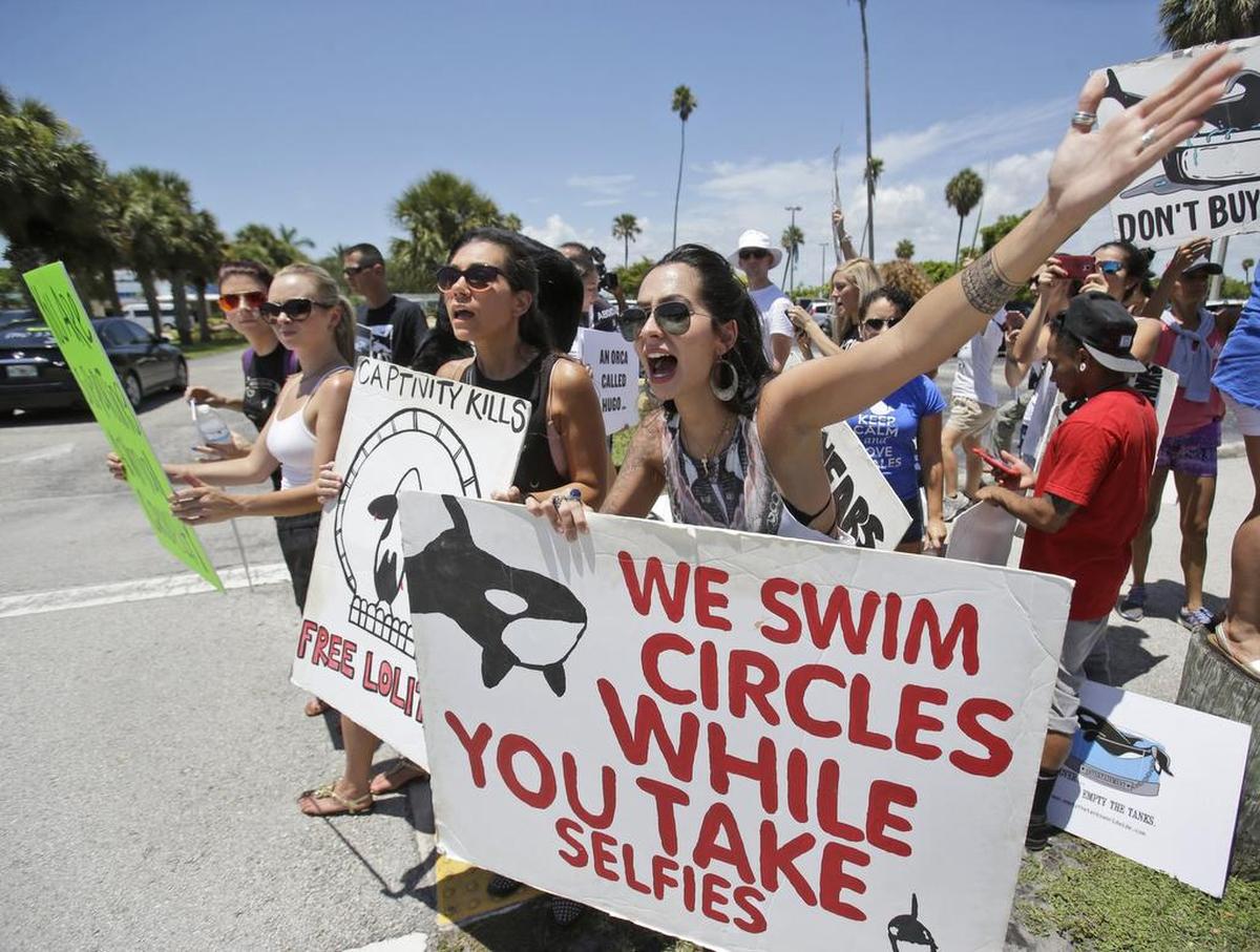 Barbara Fulchini (derecha) y Adriana Pruitt (centro), junto a otros manifestantes durante una protesta pidiendo la liberación de Lolita, a la entrada del Miami Seaquarium el 8 de agosto de 2015.