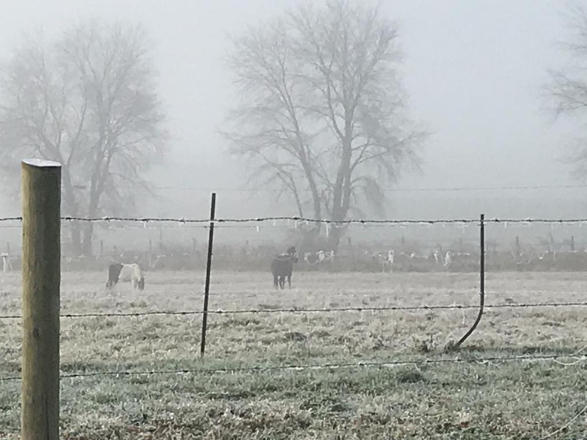 La escarcha y la neblina del amanecer cubren una de las granjas familiares que rodean Jackson, Ohio.