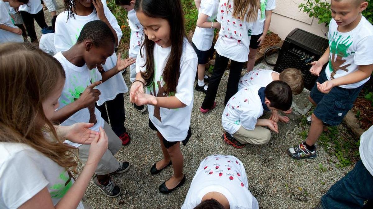 Un grupo de estudiantes de primer grado de Coral Reef Elementary School liberan mariquitas en el patio de la escuela en abril del 2013.