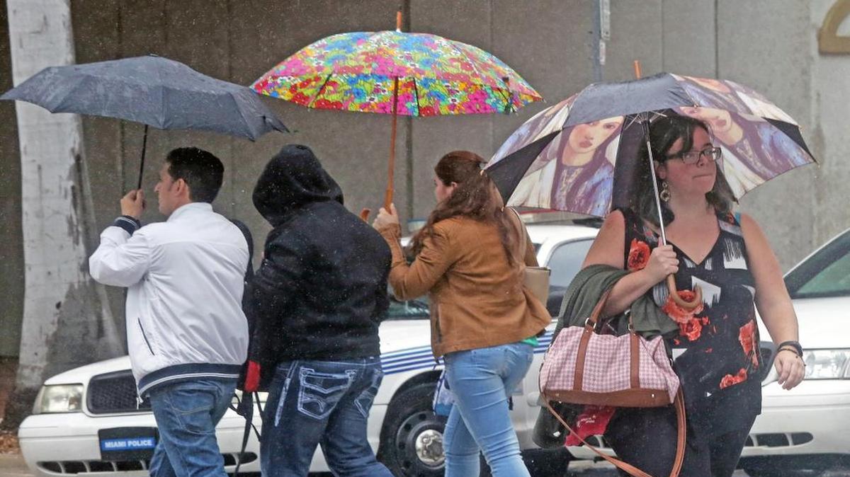 Eloise López, a la derecha, una empleada del Miami Dade College, cruza una calle en el downtown de Miami resguardada por un paraguas, durante uno de los aguaceros de este lunes 1 de febrero.