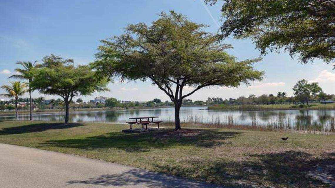 A $150 million bond referendum could bring a community center, swimming pools and other new amenities to Doral Central Park.