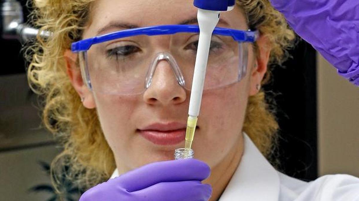 Elisa Shoff, del Laboratorio de Toxicología de Medicina Legal de Miami-Dade, prueba muestras de sangre en busca de drogas sintéticas.