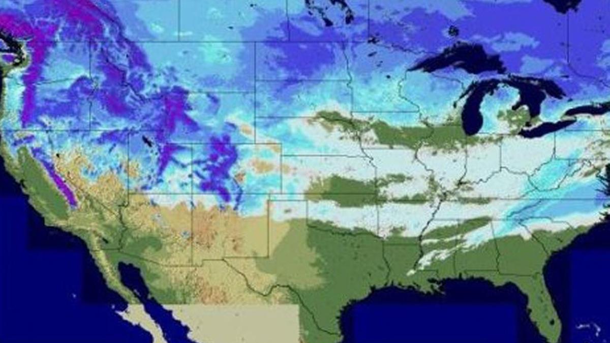 De acuerdo a un análisis de la Administración Nacional Oceánica y Atmosférica (NOAA, por sus siglas en inglés), 49 de los 50 estados del país tuvieron nevadas o heladas el pasado fin de semana.