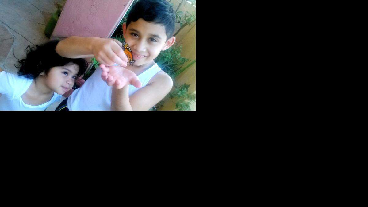 
Daniel Bravo muestra una mariposa monarca. El niño de 9 años de Miami es uno de los protagonistas del documental “Saving my Tomorrow”, que se estrenará el lunes en HBO. 
