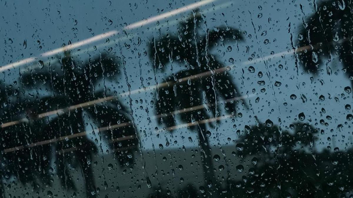 Una fuerte tormenta de lluvia y relámpagos con vientos de hasta 55 millas por hora (88.5 kilómetros por hora) estará afectando el noreste del Condado Miami-Dade hasta las 10:30 a.m. este sábado, según un boletín del Centro Nacional de Meteorología.