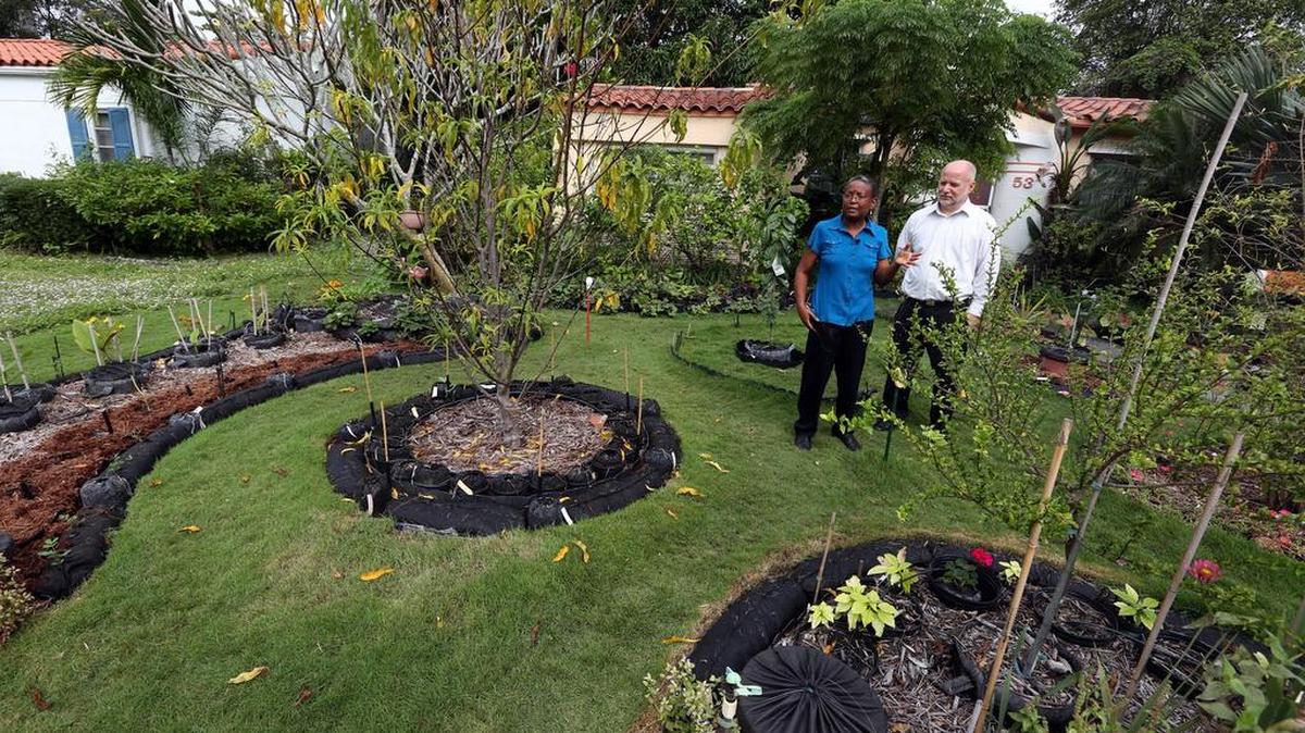 Tom Carroll y Hermine Ricketts muestran su jardín de vegetales en Miami Shores.