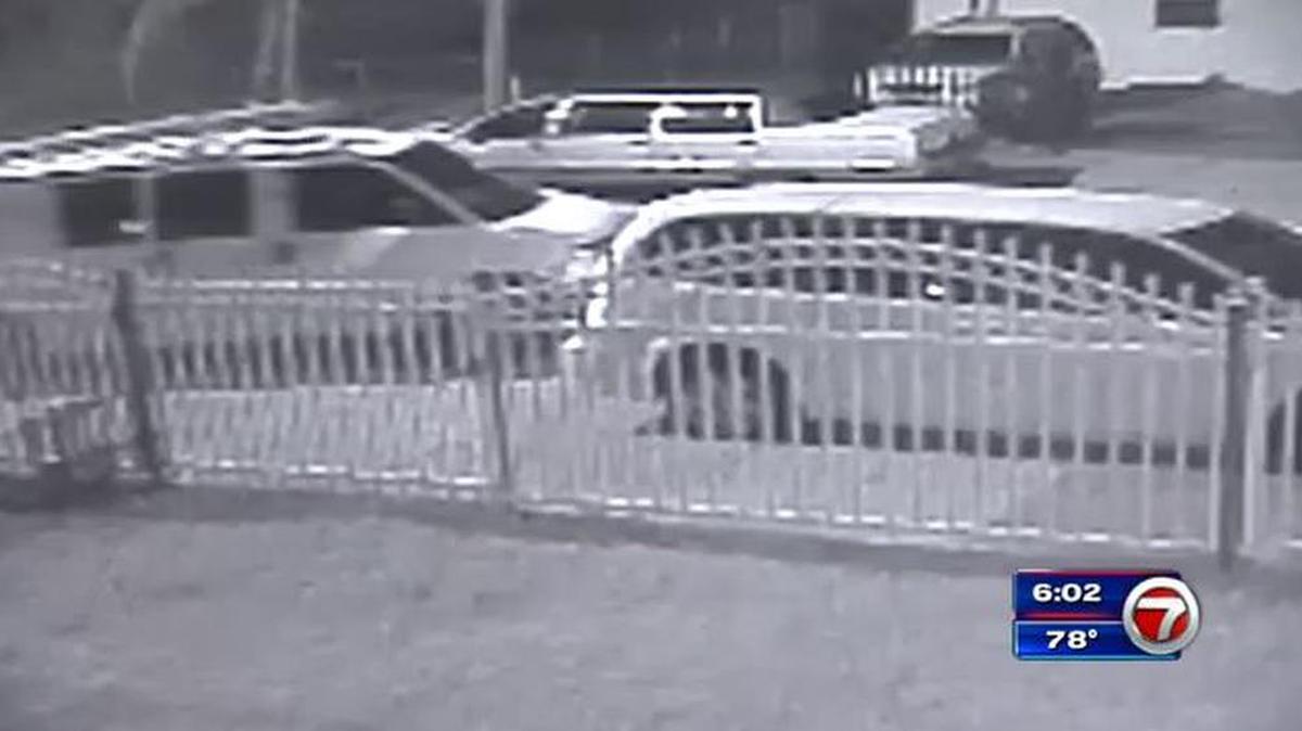 En un video de vigilancia puede verse al ladrón cuando le pasa por al lado al vehículo.