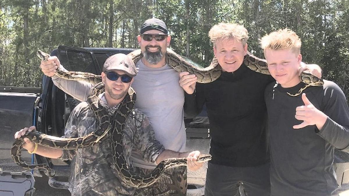 El chef Gordon Ramsay y su hijo salieron a la caza de serpientes pitón este año en los Everglades.