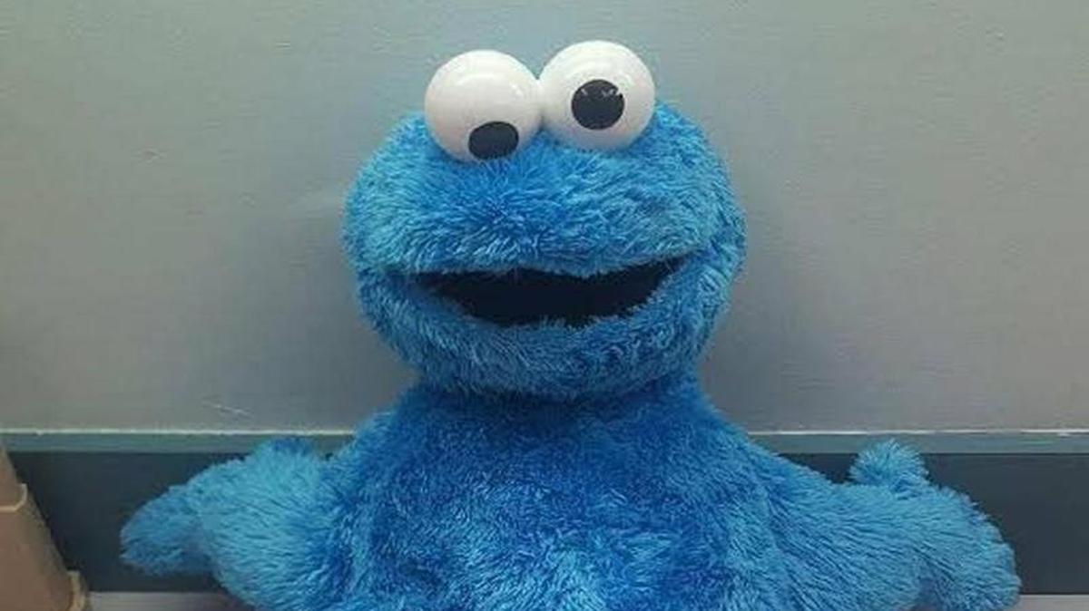 Más de 300 gramos de cocaína fueron encontrados dentro de un peluche del “Cookie Monster”. Un hombre en Cayo Hueso fue detenido y acusado de transportar drogas.