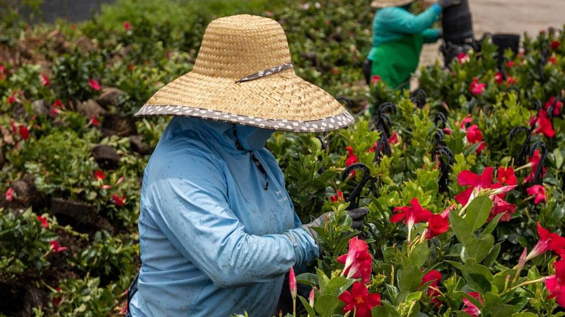 In Miami-Dade County, fights coming over farms, parties and new suburban houses