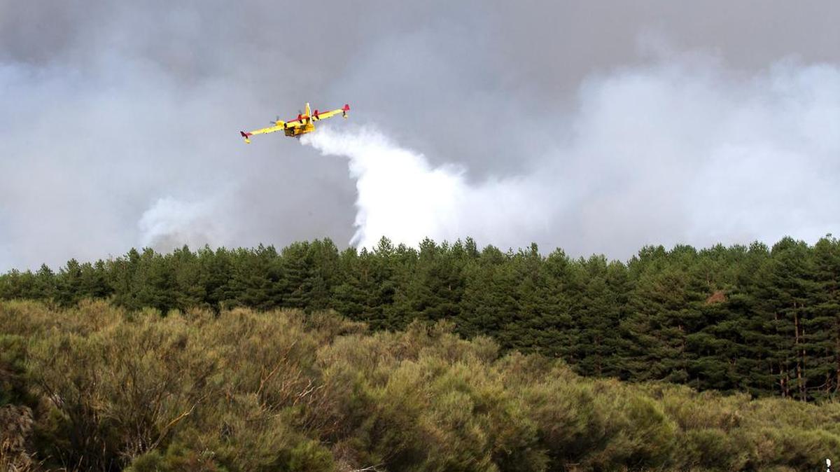 Trabajos de extinción del incendio declarado esta tarde en el municipio abulense de Navarredonda de Gredos, una zona próxima al Parque Regional de Gredos.
