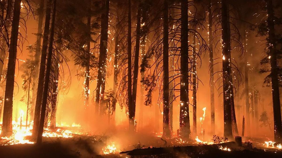 Fotografía cedida por el Servicio Forestal Estadounidense (USFS) y el Grupo de Coordinación Nacional de Incendios que muestra a un grupo de bomberos mientras combaten las llamas en el incendio de Camp Fire, California el 19 de noviembre del 2018.