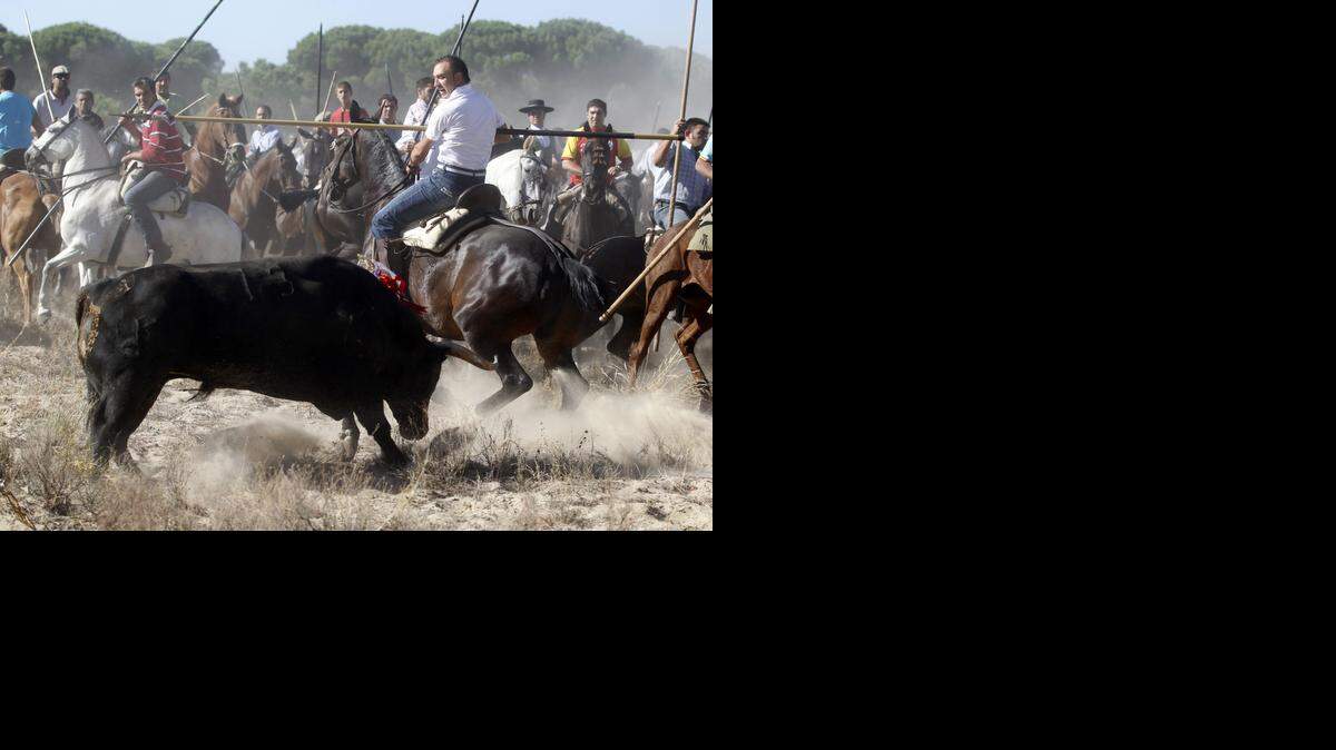 
En foto de archivo del 14 de septiembre de 2010 en Tordesillasel, personas armadas con lanzas persiguen a caballo y un toro durante el festival “Toro de la Vega”. El festival es uno de las más antiguos de España, con raíces que se remontan al siglo XV.
