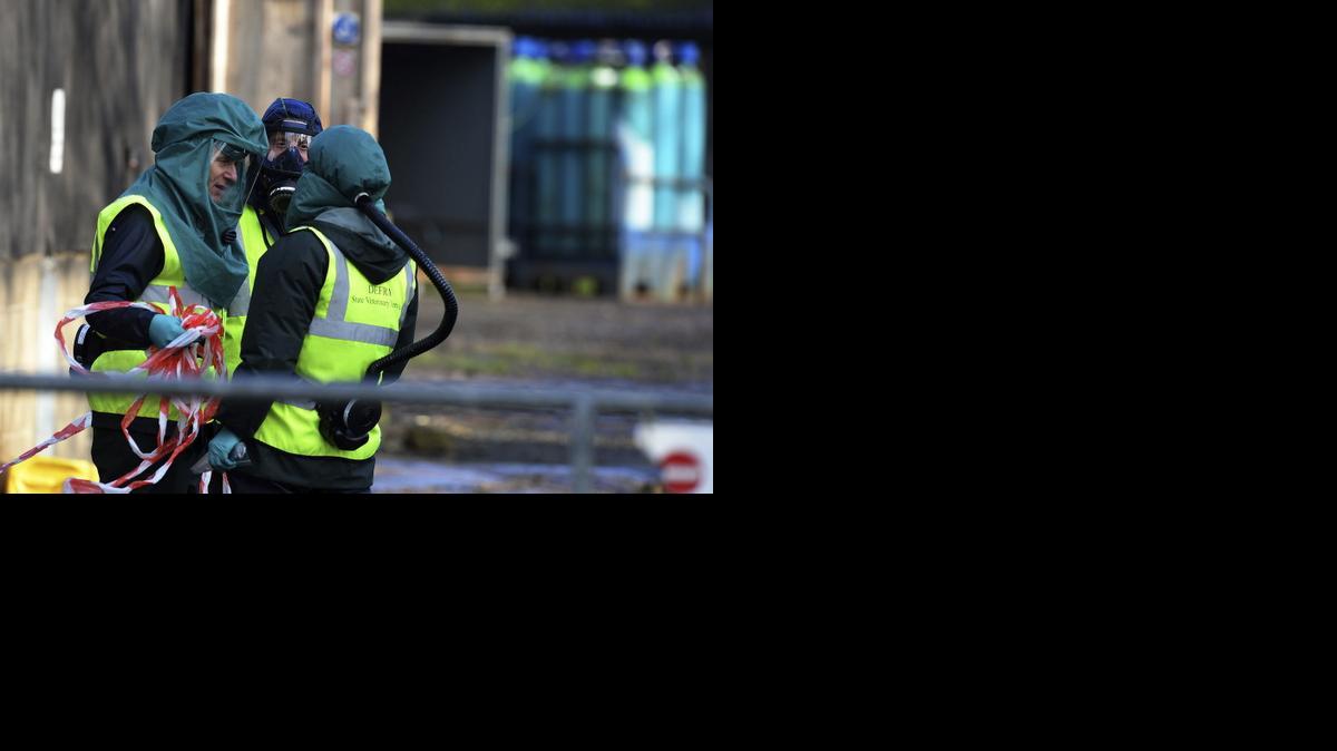 
Técnicos ataviados con trajes protectores en una granja en el que se ha registrado un caso de gripe aviar en Nafferton, Yorkshire Oriental (Reino Unido) hoy, martes 18 de noviembre de 2014. La Organización Mundial de la Salud (OMS) explicó hoy que la hipótesis principal sobre los diferentes brotes de gripe aviar que han sido detectados en Europa es que los virus han sido introducidos en el continente por pájaros migratorios provenientes de Asia.
