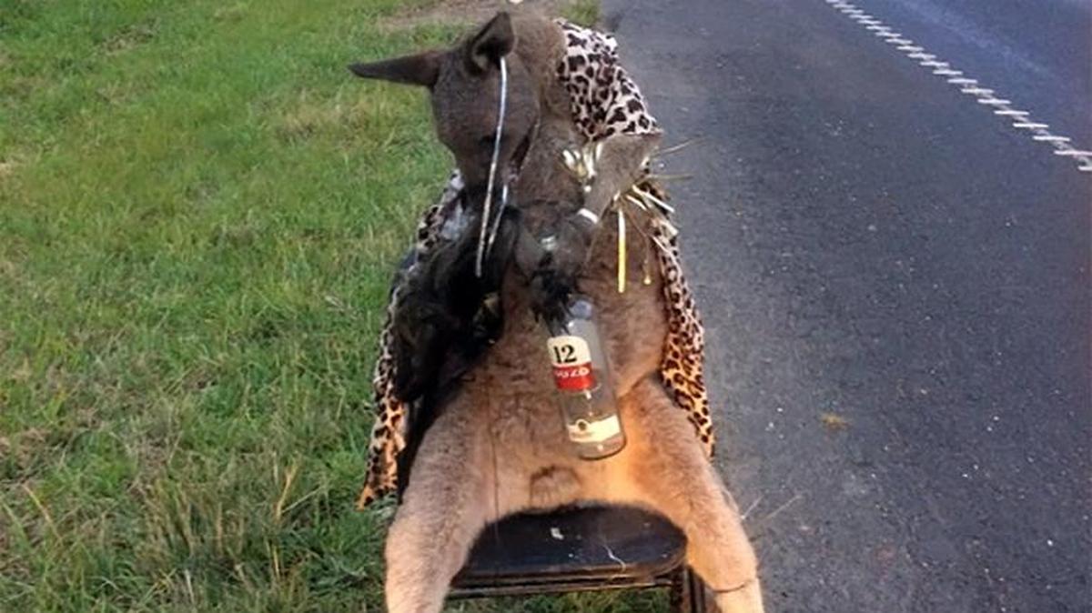 El animal, que llevaba algo parecido a un chal estampado a la espalda, tenía entre sus patas, atadas, una botella de uzo.