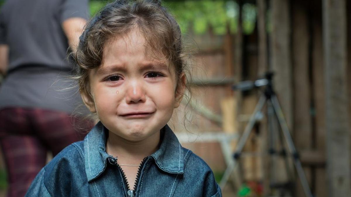 Los beneficios sociales reducen la pobreza por ingresos en un 22 por ciento