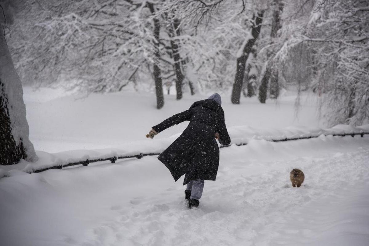 Una mujer pasea a su perro en el Jardín Botánico de Moscú durante la intensa nevada del domingo 4 de febrero.
