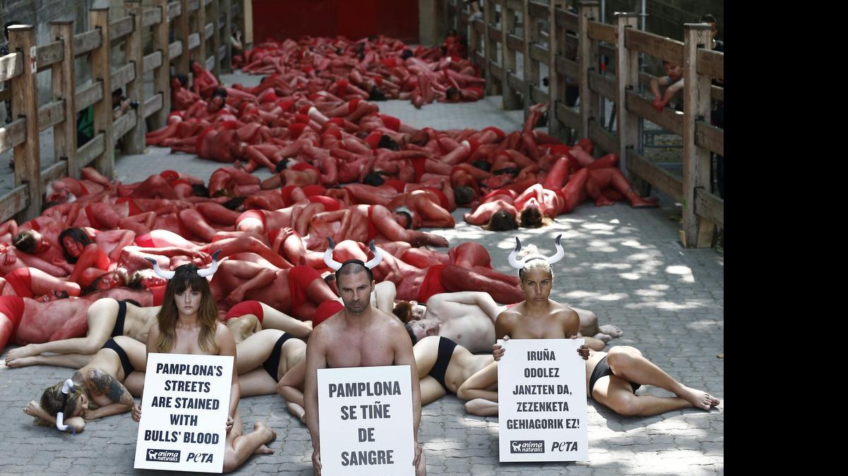 
Un centenar de activistas y simpatizantes de los colectivos AnimaNaturalis y PETA han protestado el sábado, ante la plaza de toros de Pamplona contra los espectáculos taurinos que la próxima semana tendrán lugar con motivo de las fiestas de San Fermín.
