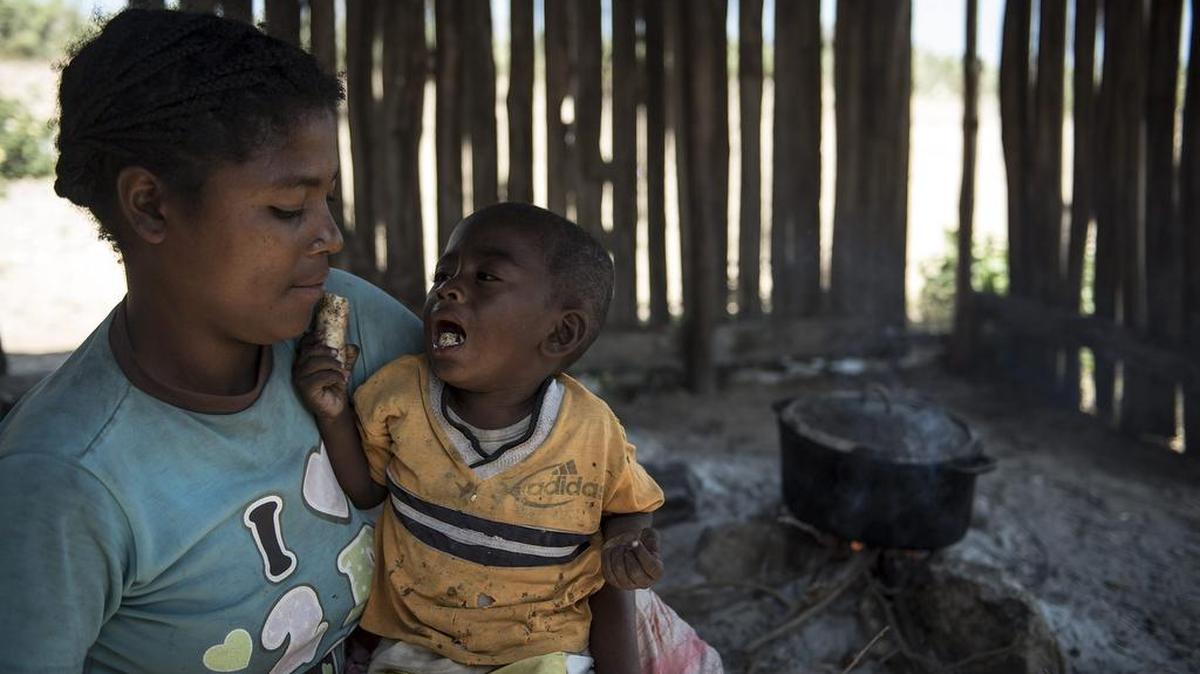 
Una madre alimenta a su hijo, que sufre de desnutrición, con una patata dulce en la ciudad de Amboasary, Madagascar. Según fuentes locales el sur del país sufre de hambre y calcula en 200.000 los afectados, 40.000 de ellos niños menores de cinco años. Madagascar es uno de los países más pobres del planeta.

