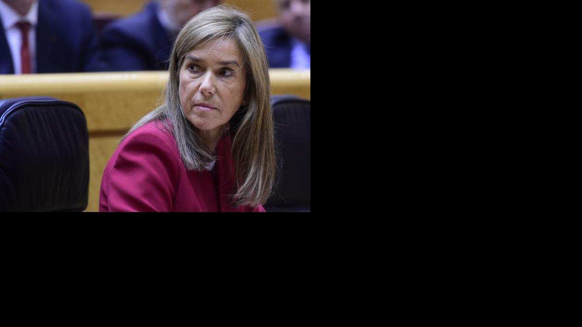 
Ana Mato, ministra española de Sanidad, durante una interpelación en el Senado sobre las infecciones de ébola.


