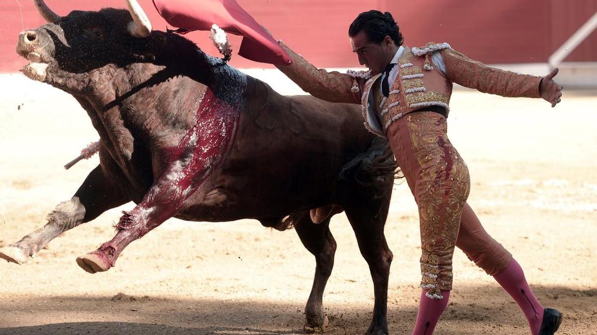 El torero español Iván Fandino hace un pase a un toro de la ganadería de Baltasar Ibán en la Corrida des Fetes el 17 de junio del 2017 en la ciudad francesa Aire-sur-l'Adour. El torero falleció a consecuencia de una fatal cornada.