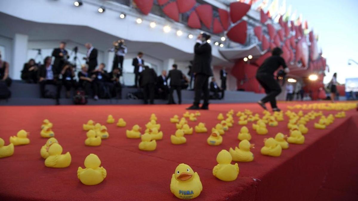 Fotografía de la alfombra roja decorada con patos de hule antes de la presentación de "Piuma" en el 73 festival de Cine de Venecia hoy, lunes 5 de septiembre de 2016, en Venecia.