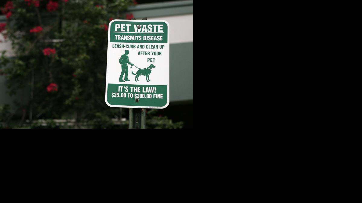 
Letrero que advierte que los excrementos de los perros pueden transmitir enfermedades y señala multas por no limpiarlos. 
